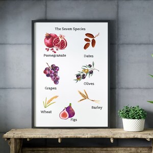 Tu Bishvat sju arter tryck, väggbonad, Tu Bishvat pyssel, Tu Bishvat aktiviteter, Tu Bishvat förskoleaktiviteter, pedagogiskt