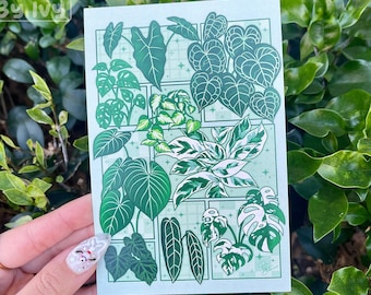 Tropical Houseplants Art Print
