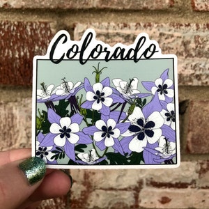 Colorado State Flower Waterproof Vinyl Sticker | Matte Bumper Sticker, Matte Laptop Sticker