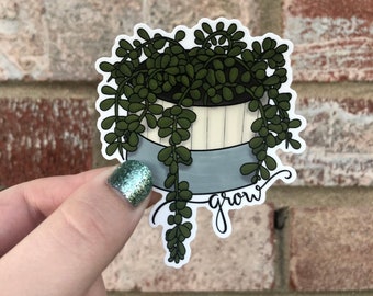 String of Pearls Grow Waterproof Vinyl Sticker | Matte Waterproof Sticker, Succulent Laptop Sticker, Succulent Bumper Sticker