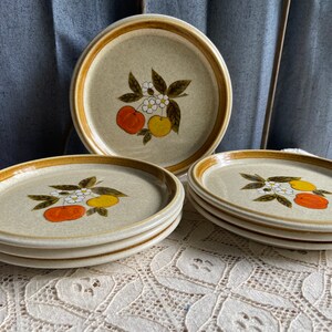 Pode incluir: Conjunto de seis pratos de jantar de cer&acirc;mica castanho e bege com um design floral que apresenta fruta laranja e amarela, folhas verdes e flores brancas.
