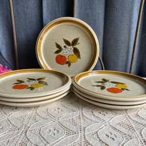 Pode incluir: Conjunto de quatro pratos de jantar de cer&acirc;mica marrom e branco com um design de frutas c&iacute;tricas. Os pratos t&ecirc;m uma borda marrom e um centro branco com um ramo de c&iacute;tricos marrom com frutas laranja e amarelas e flores brancas.