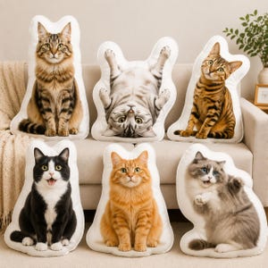 Puede incluir: Una colección de seis cojines decorativos con forma de gato. Los cojines presentan impresiones fotográficas de alta resolución de varias razas de gatos en diferentes posturas, incluyendo sentados, tumbados boca arriba y jugando, con texturas de pelaje realistas.