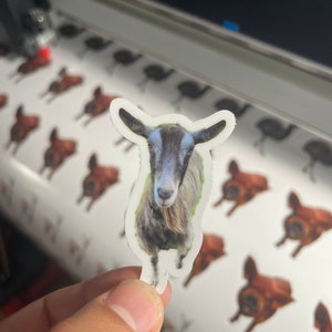 May include: A die-cut sticker featuring a goat with a gray and white face, black ears, and a light green outline. The sticker is held in front of a background of similar stickers. The goat sticker is approximately 3 inches tall.
