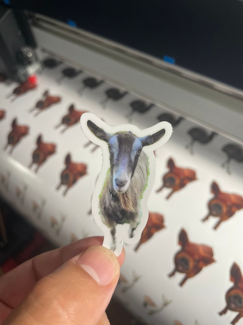 May include: A die-cut sticker featuring a goat with a gray and white face, black ears, and a light green outline. The sticker is held in front of a background of similar stickers. The goat sticker is approximately 3 inches tall.