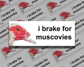 May include: A design with the text "i brake for muscovies" in a white rectangle, set against a grey background. The background is patterned with duck heads and the same text.