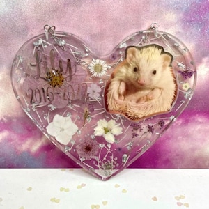 May include: A heart-shaped resin memorial with a photo of a hedgehog and dried flowers. The text "Lily 2015-2021" is inscribed on the resin.