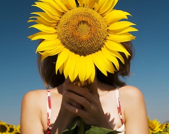 Planificador diario de girasoles imprimible / Lista de tareas y horario / Descarga digital en PDF