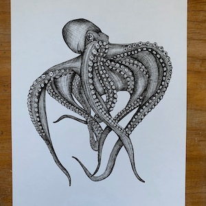May include: A black and white line drawing of an octopus with eight tentacles. The octopus is curled up in a ball, with its tentacles wrapped around itself.