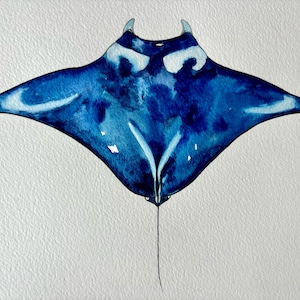 Print - A4 watercolour sea prints created from original paintings by DarcieDeeDesigns manta ray
