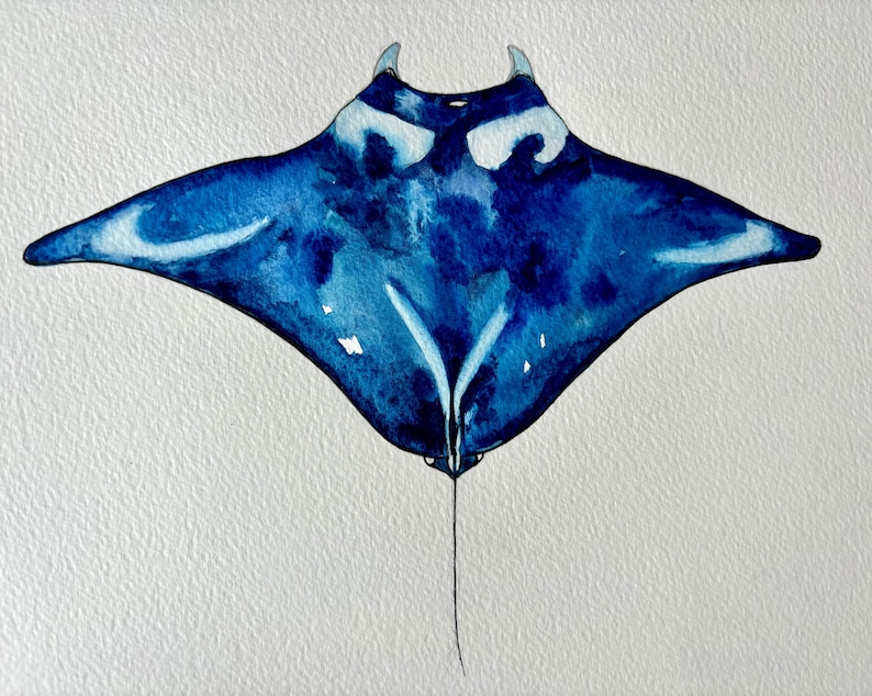 Print - A4 watercolour sea prints created from original paintings by DarcieDeeDesigns manta ray