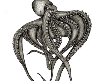 Framed octopus watercolour or pen print - 8x10 framed pen drawing or A4 framed