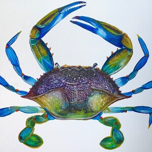 May include: A blue crab with green and blue legs and a purple and green shell. The crab is painted in a realistic style.