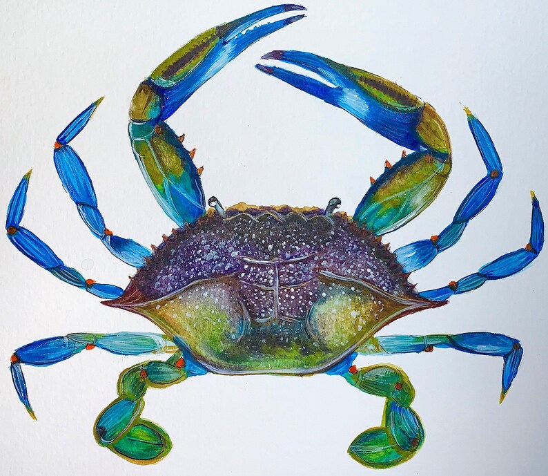 May include: A blue crab with green and blue legs and a purple and green shell. The crab is painted in a realistic style.