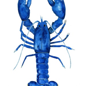 May include: A watercolor painting of a blue lobster with its claws raised. The lobster is painted in a realistic style, with details such as the segmented body and the antennae.