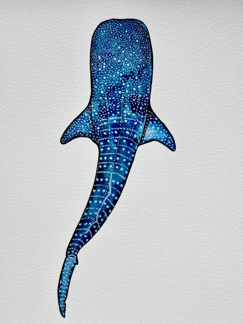 Print - A4 watercolour sea prints created from original paintings by DarcieDeeDesigns whale shark