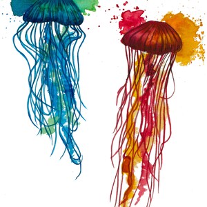 May include: Two watercolor jellyfish, one blue and one red, with trailing tentacles. The blue jellyfish has a green watercolor background and the red jellyfish has an orange watercolor background.