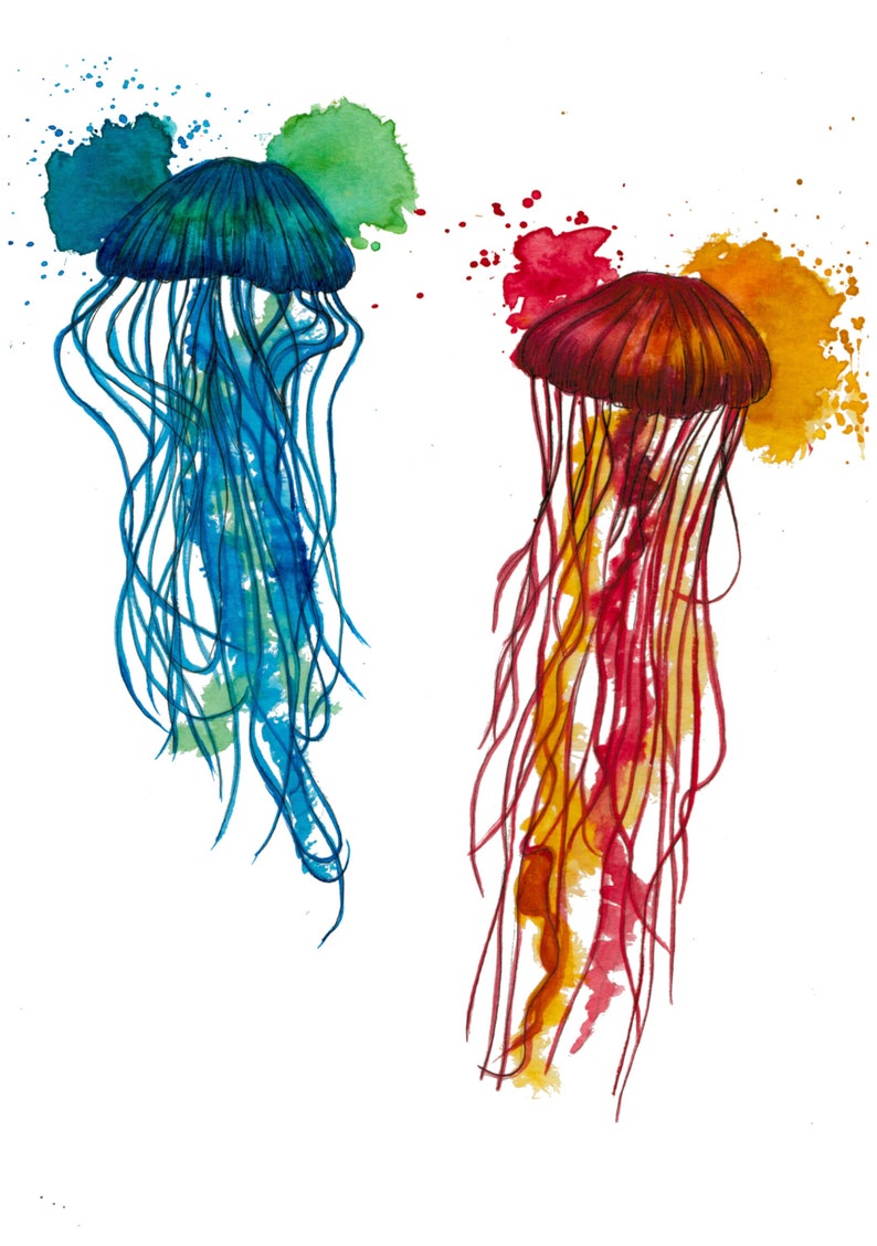 May include: Two watercolor jellyfish, one blue and one red, with trailing tentacles. The blue jellyfish has a green watercolor background and the red jellyfish has an orange watercolor background.