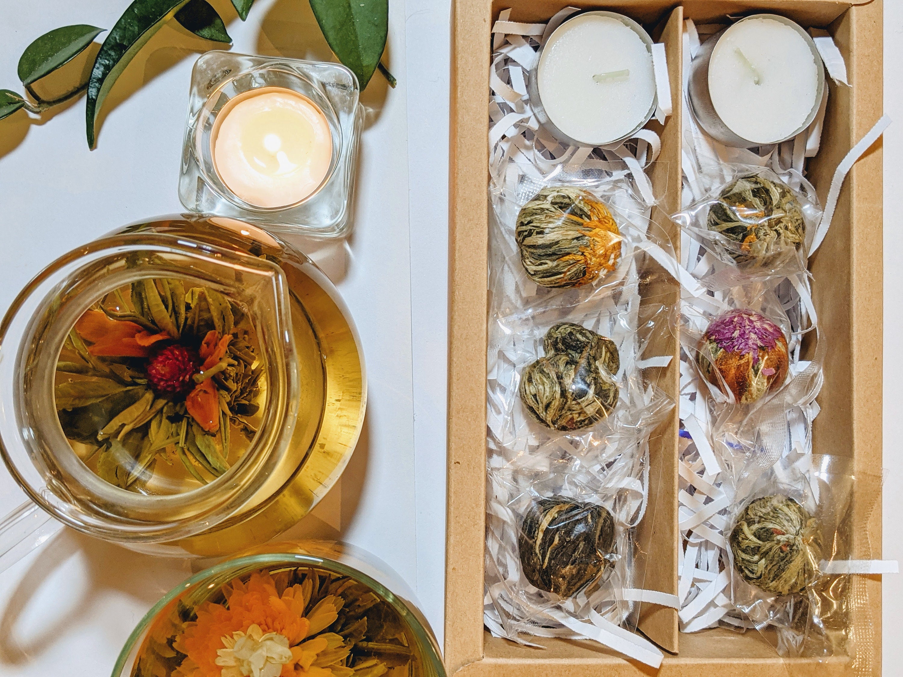 6 Pack Blooming Tea Set Flowering Tea Tea Gift Set Artisan Tea Etsy