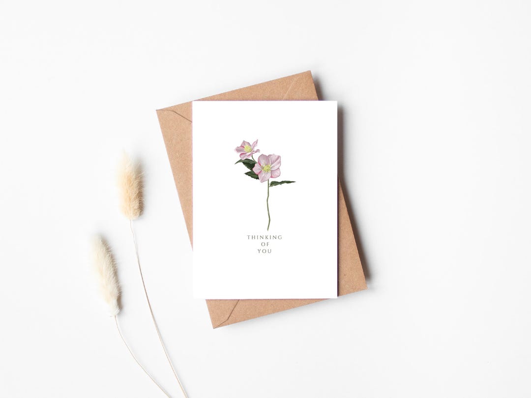 Thinking of You Sympathy Card • Pink Hellebore Illustration ...