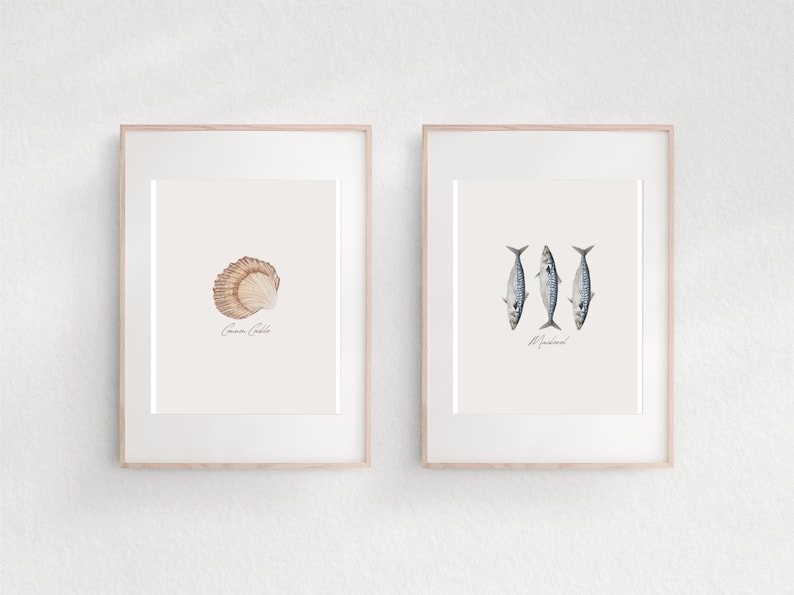 Coastal Art Print Set – Cockle Shell & Mackerel Fish Illustrations ...