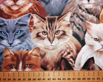 Cats Cotton Fabric : Quilting, Dressmaking, Crafts, by Timeless Treasures