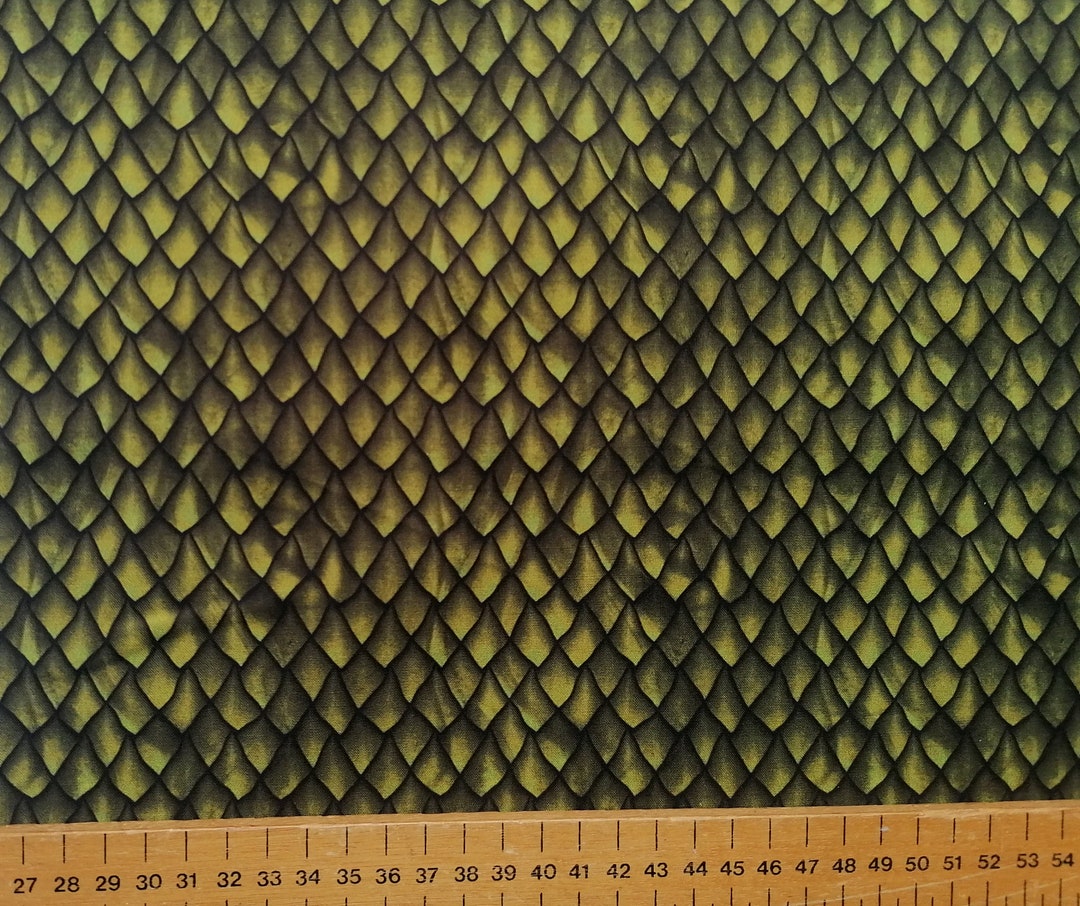 Beautiful Dragon Scales From the Dragons, the Ancients Range by in the