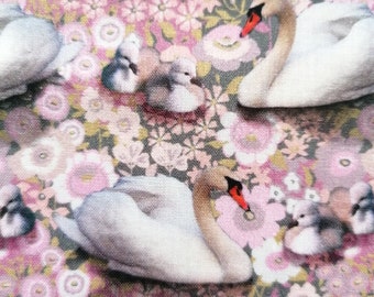 Affiche Bebe Cygne Etsy