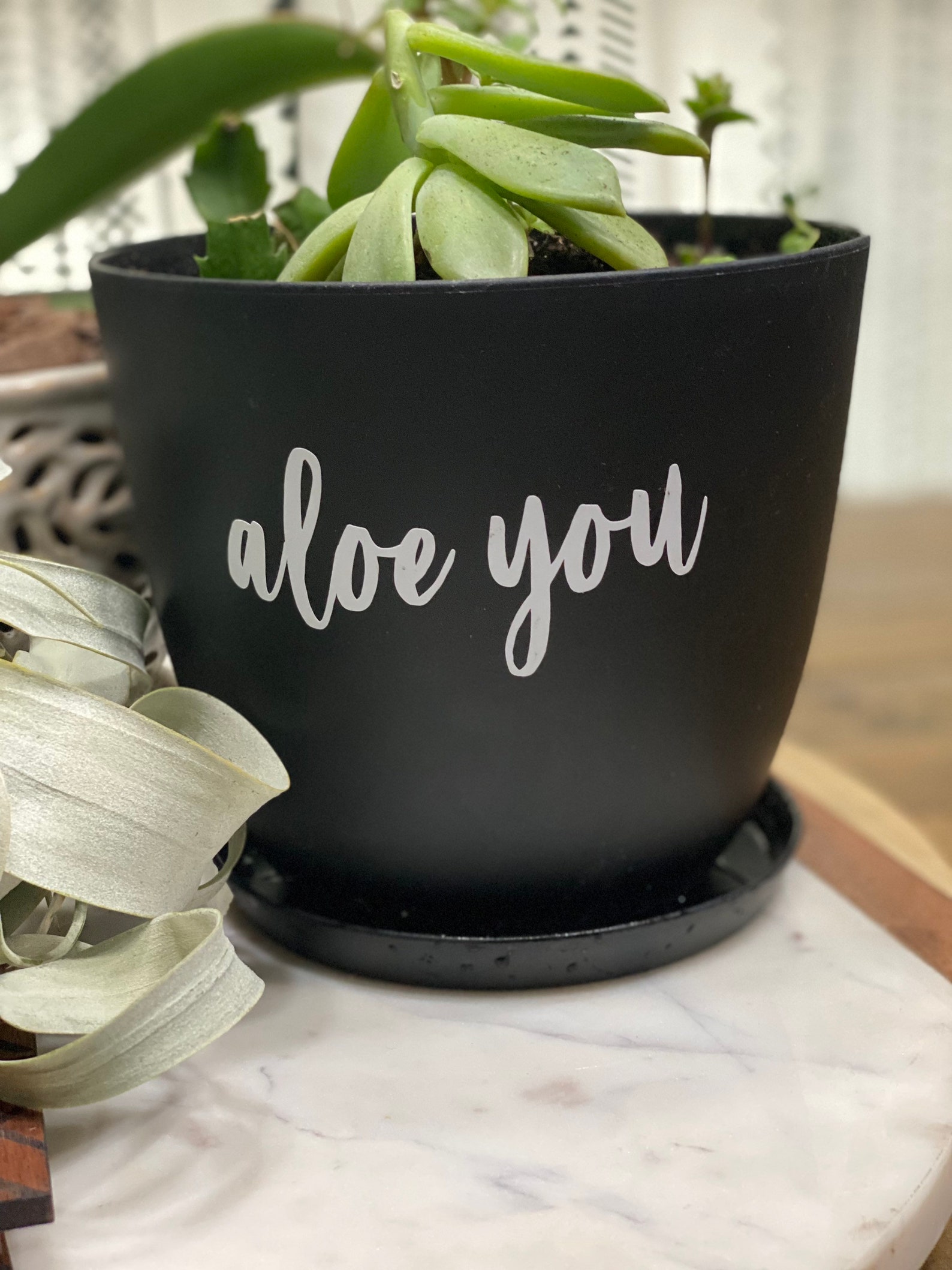 Vinyl Sayings for Planters Etsy