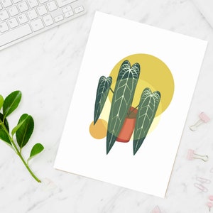 4 illustrations botaniques imprimables (Reine Anthurium, Monstera Albo, Philodendron Billietiae)