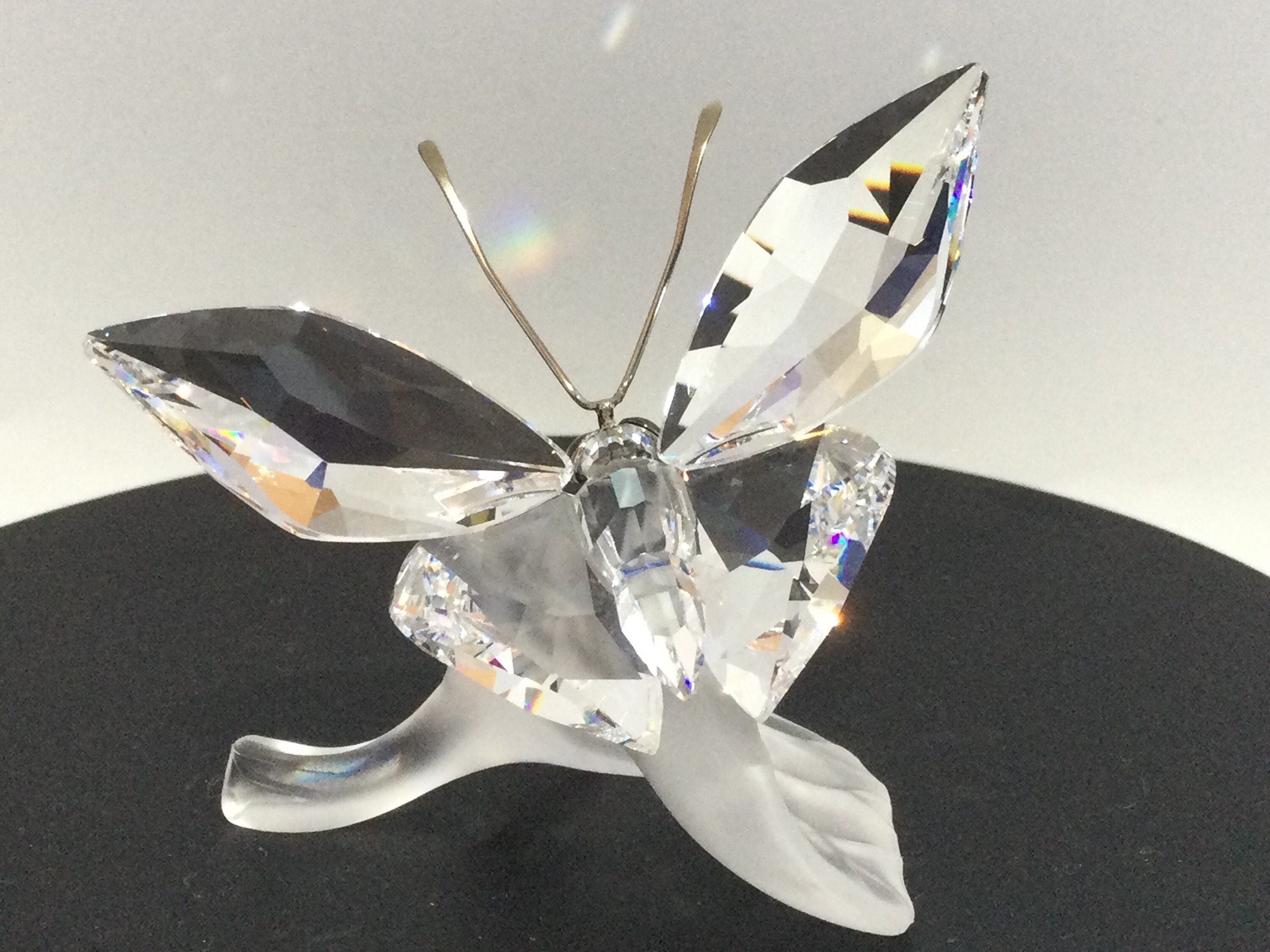 BOXED Swarovski Crystal BUTTERFLY on LEAF 182920 Etsy