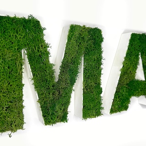 Scritta Decorativa Muschio Verticale Logo Personalizzato in 3D - LOGO - Parole - Frasi - Muro - Scrivania - Ufficio - Azienda - Attività