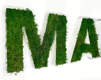 Decorative Vertical Moss Writing Custom 3D logo - LOGO - Words - Phrases - Wall - Desk - Office - Company - Activities