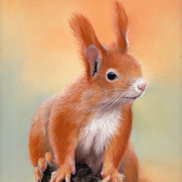 Eichhörnchen, red squirrel Aceo Print from a original su-art miniatur pastellpainting