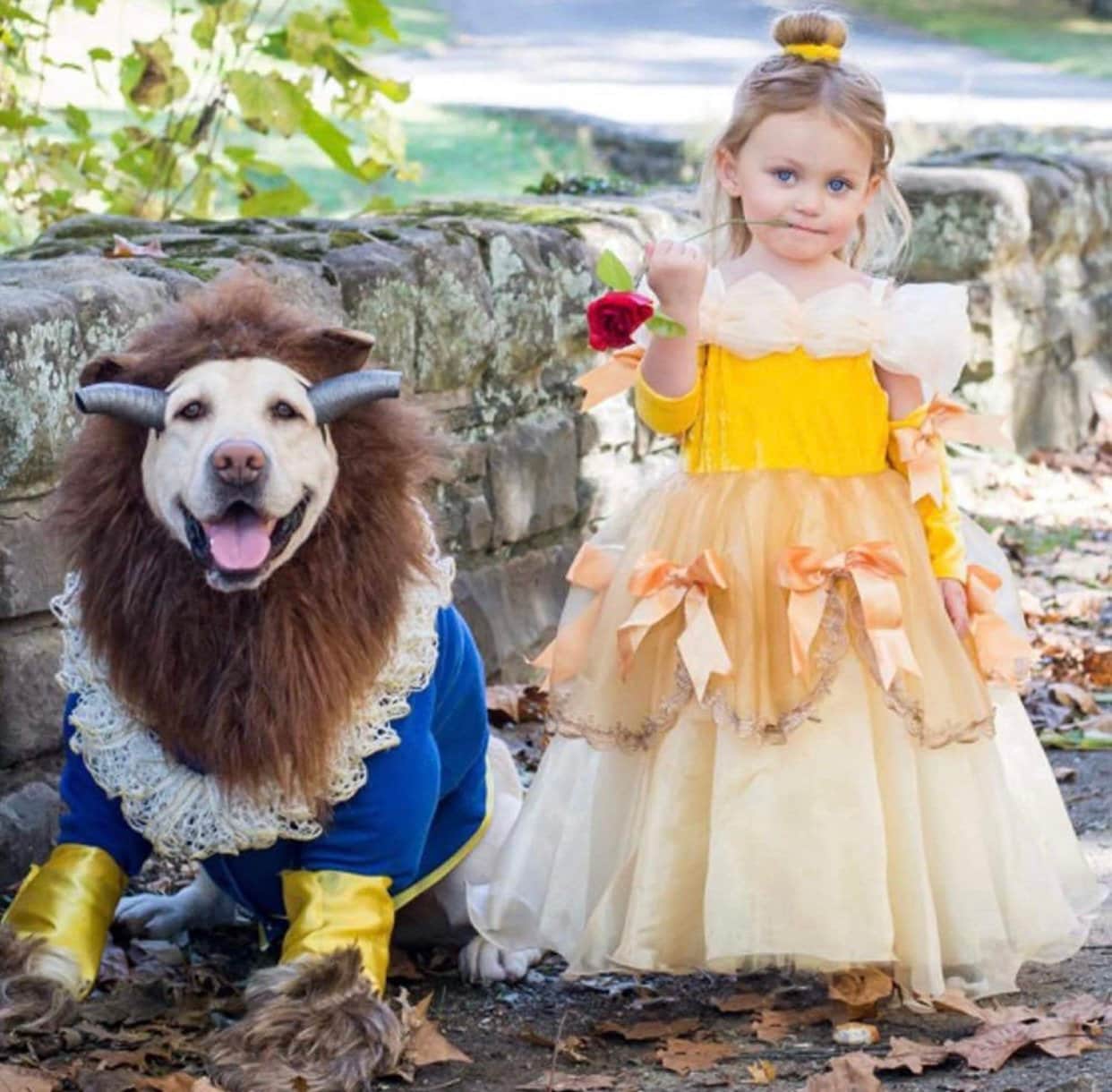 Belle Costume - Etsy