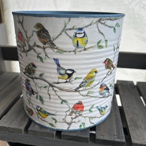 May include: A white metal planter with a blue rim, featuring a colourful bird pattern. The planter is decorated with various species of birds perched on branches, including bluebirds, sparrows, and robins.