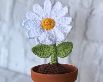 Crochet Daisy in a Terracotta Pot