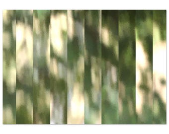 Splitted GREEN - Aluminum Print - limited edition art - 3 Sizes - photography art