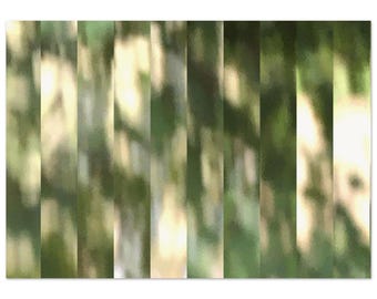 Splitted GREEN - Museum-Quality Matte Paper Poster - Art photography - affordable limited edition art