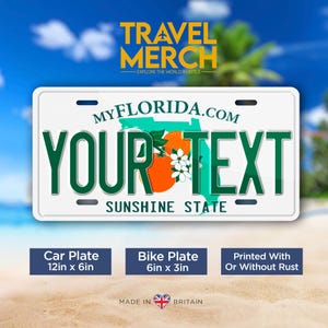 Florida v3 - USA Custom Metal License Plate, Americana, US States, Handmade in the UK- Personalised/Customised