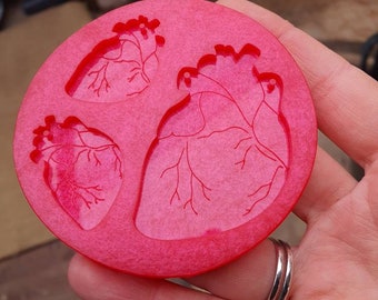 Little & Large Anatomical Hearts Silicone Mould