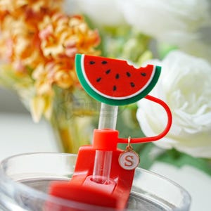 Watermelon Straw Covers, Summer Straw Topper, Cute Cup Straw Cover, Straw Decoration, 3d Printing Straw Topper, Fruit themed Party