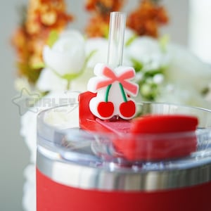 Cherry Straw Topper, Spring Straw Topper Covers, Holiday Straw Cover, Cute Fruit Straw Charm, Tumbler Straw Decoration, Cup Accessories