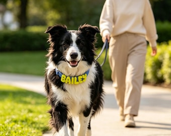 May include: A black and white Border Collie dog wearing a blue collar with bright yellow, three-dimensional block letters spelling out the name BAILEY. The dog is attached to a dark blue leash and is walking forward on a paved path.