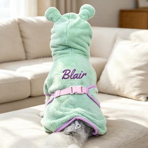 Op de afbeelding: Een lichtgroene pluche hoodie voor huisdieren met berenoren op de capuchon. De achterkant is voorzien van de naam Blair geborduurd in paars schrift, een lichtroze verstelbare riem met een plastic gesp en paarse biezen langs de randen.