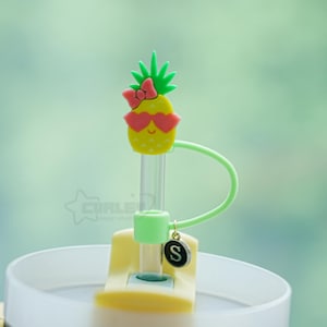 Girly Pineapple Straw Toppers, Stanley Straw Cover, Summer Fruit Straw Decoration, Straw Tip Covers, 10 MM Straw Cap, Tumbler Accessories