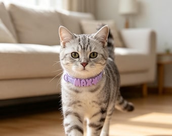 May include: A light purple silicone pet collar featuring the name MAX in raised block letters and a small star-shaped charm. The collar is worn by a grey and black tabby cat with green eyes, standing on a wooden floor in a bright indoor setting.