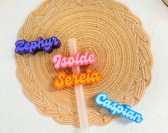 May include: Four silicone straw toppers in purple, pink, orange, and blue, each featuring a custom name in a retro font. The names Zephyr, Isolde, Sereia, and Caspian are embossed on the toppers. One topper is attached to a translucent straw.