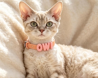 May include: A light peach-colored pet collar featuring the letters OWI in a rounded, raised font. The collar includes a silver-toned metal buckle and is worn by a light-colored cat with curly fur and green eyes, positioned against a soft, textured surface.
