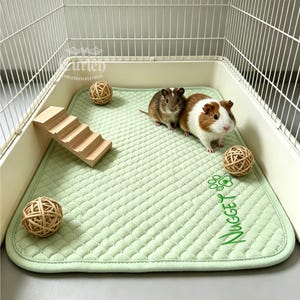 Peut inclure: Un tapis pour animaux de compagnie vert clair matelassé à bord festonné, portant le nom brodé Nugget et une empreinte de patte. Deux cochons d'Inde sont sur le tapis avec un escalier en bois et trois balles en rotin dans une cage.